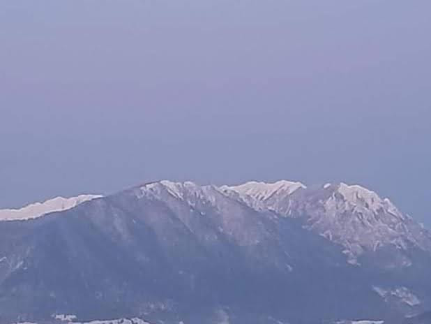 דירות Zărneşti Edelweiss Ilinca מראה חיצוני תמונה